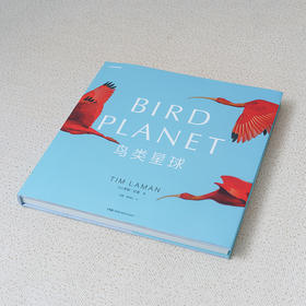 鸟类星球 鸟类摄影画册 中国国家地理蒂姆·拉曼国际野生生物摄影年赛获奖者作品集 大开本摄影画册