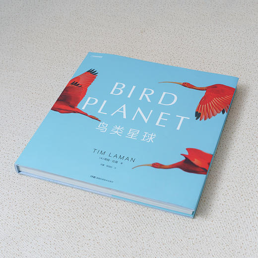 鸟类星球 鸟类摄影画册 中国国家地理蒂姆·拉曼国际野生生物摄影年赛获奖者作品集 大开本摄影画册 商品图0