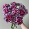 单头康乃馨 野马 紫色  20支/扎   颜色深浅略有差异 以实物为准 云南基地发货 （价格已包含包装费用） 运费以实际为准，多退少补。 商品缩略图0