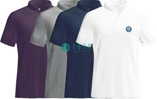 经典POLO衫 商品图2