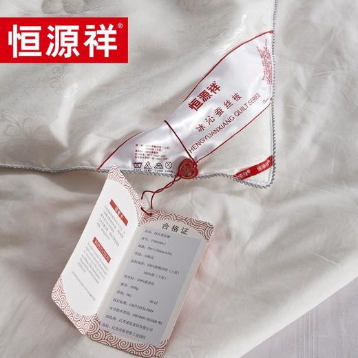 恒源祥（HYX） 恒源祥礼业TSB1004-1爱之羽蚕丝被 爱之羽 200*230cm 商品图2