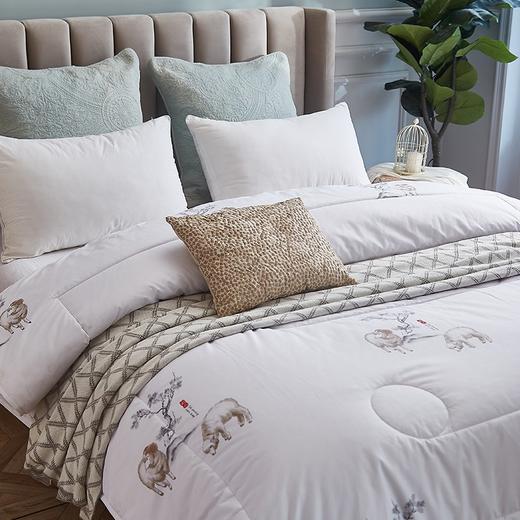 恒源祥（HYX） 恒源祥礼业TGB1028翔逸羊毛被 翔逸 200*230 商品图9