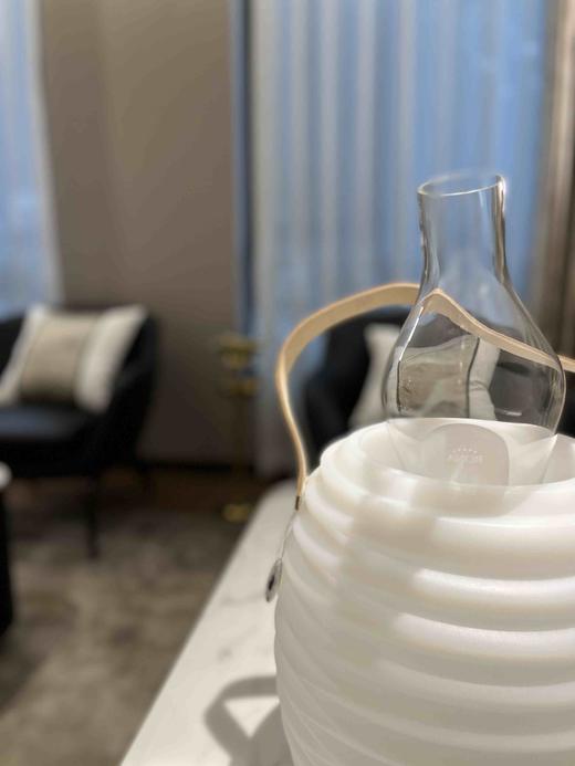 Rona白葡萄醒酒器可以放入冰桶 商品图3