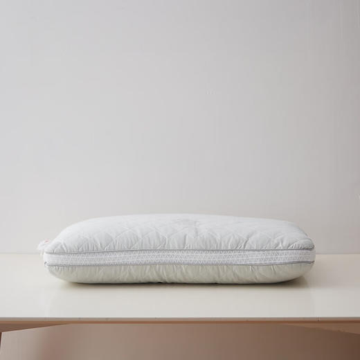 恒源祥（HYX） 恒源祥礼业TZT1023（纤维枕） 玻尿酸枕头 45*70 商品图6