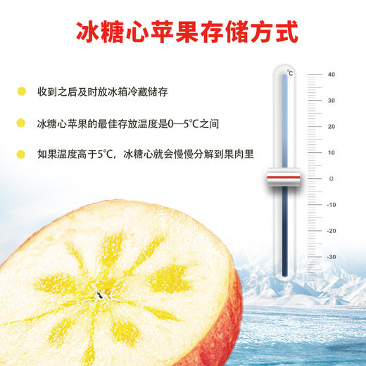 【7斤/8斤】新疆冰糖心苹果礼盒 商品图2