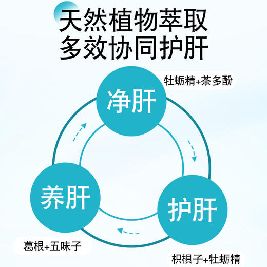 （养肝护肝）斯利安康上工强生堂牡蛎葛根枳椇子胶囊40粒【FX】 商品图3
