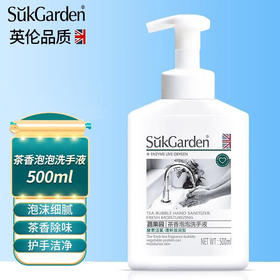 蔬果园茶泡泡洗手液儿童宝宝孕妇洗手液家用滋润茶香清香型500ml