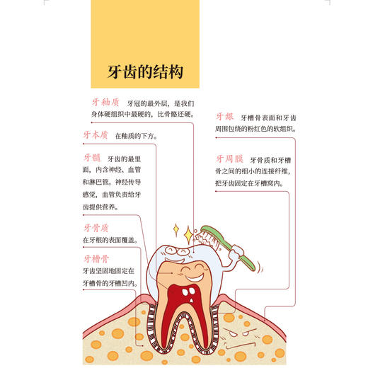 《李晓清医生讲给孩子的第一本护眼书》+《邓辉奶奶讲给孩子的第一本护牙书》 商品图11