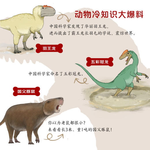 你想不到的动物祖先 商品图2