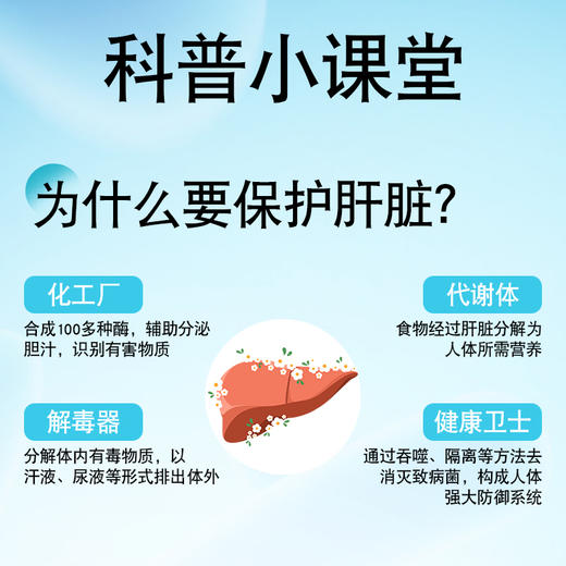 （养肝护肝）斯利安康上工强生堂牡蛎葛根枳椇子胶囊40粒【FX】 商品图1