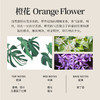 好莱舒汽车香水 无酒精安全除臭车载香水室内香氛车用橙花香味100ml 商品缩略图5