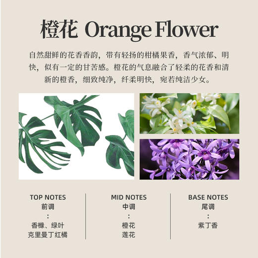 好莱舒汽车香水 无酒精安全除臭车载香水室内香氛车用橙花香味100ml 商品图5