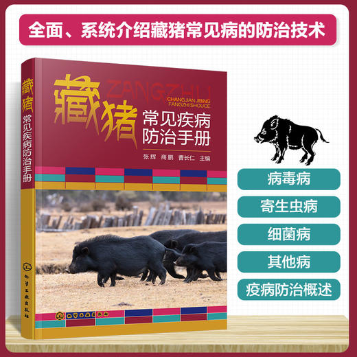 藏猪常见疾病防治手册 商品图0