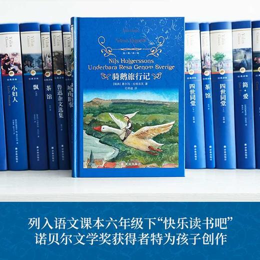 骑鹅旅行记 商品图1