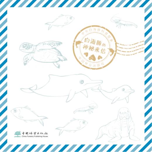 白海豚的神秘来信（全三册） 9787521923612 商品图4