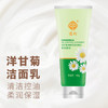 宫灯洋甘菊净颜控油洁面乳100g 商品缩略图8