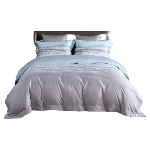 恒源祥（HYX）礼业TBK3016全棉四件套科隆太空灰 科隆-钛蓝 220*240 商品图1