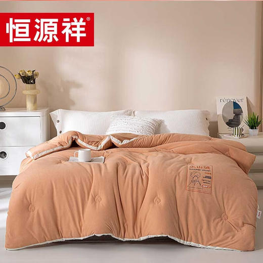恒源祥礼业TGB2057火山绒亲舒被双人秋冬被芯  200*230cm 商品图0