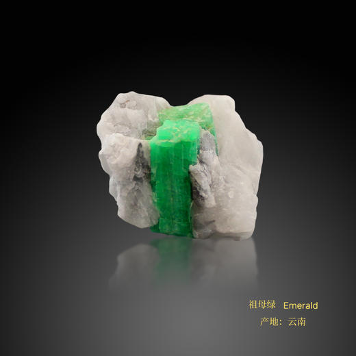 祖母绿 / 钒铅矿 / 磷氯铅矿 商品图0