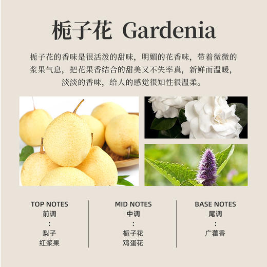 好莱舒汽车香水 无酒精安全除臭车载香水室内香氛车用栀子花香味 商品图4