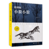 【预售15天】动物小说爱好者一定要入！沈石溪、黑鹤老师等知名动物小说作家经典力作【8-15岁】动物小说五部曲 典藏版 商品缩略图1