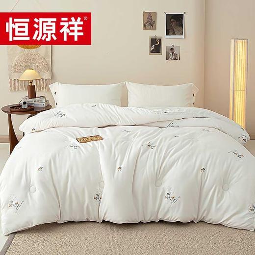 恒源祥礼业TGB2061大豆亲舒被双人加厚被芯  200*230cm 商品图0