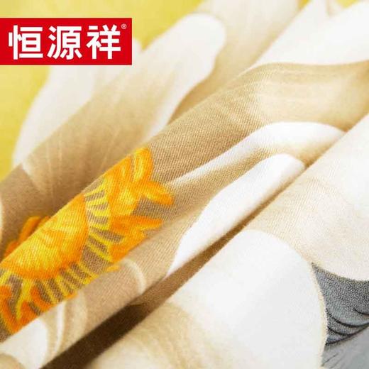 恒源祥（HYX） 恒源祥礼业TBK2020格语枝香全棉磨毛四件套  200*230cm 商品图2