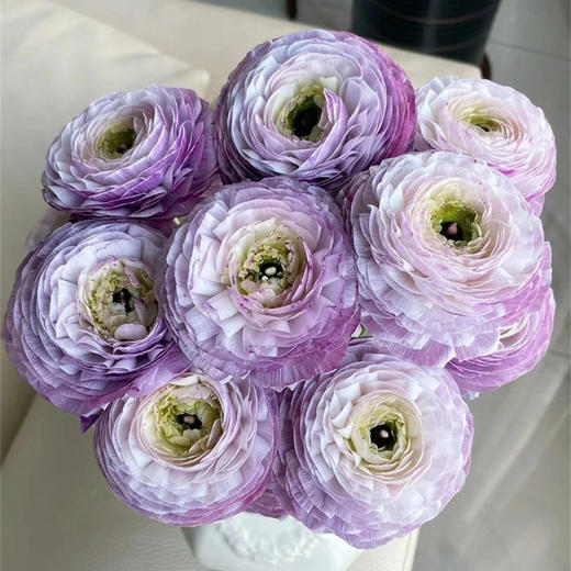 洋葱紫洋牡丹5支 商品图1