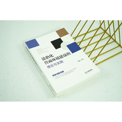 法治化营商环境建设的理论与实践  钱斌主编 商品图3