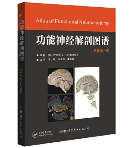 功能神经解剖图谱 商品图0