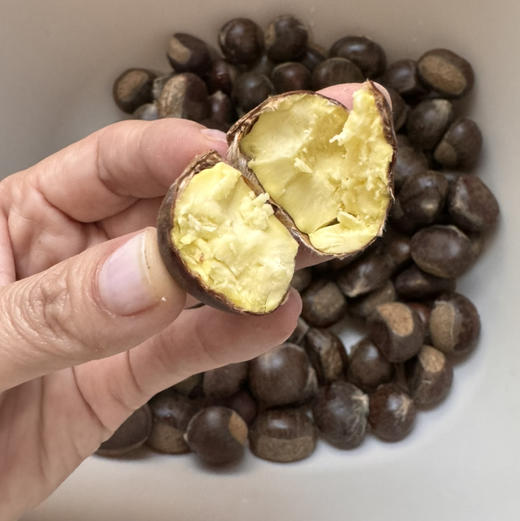 【每周一三五发货】【新鲜北京怀柔板栗油栗】10年生态种植万里长城脚下的大山深处！自然成熟香甜软糯生吃熟吃均可，每周1.3.5发货 商品图5