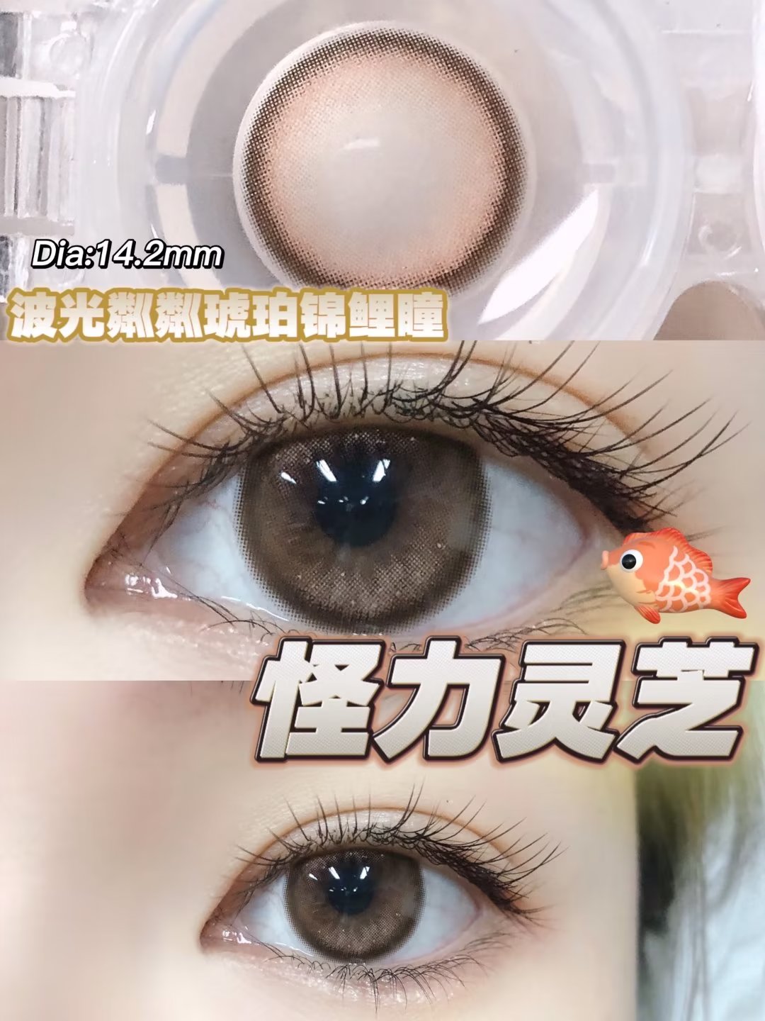 COCOCON 年抛隐形眼镜 怪力灵芝 14.2mm 1副/2片 左右度数可不同 - VVCON美瞳网