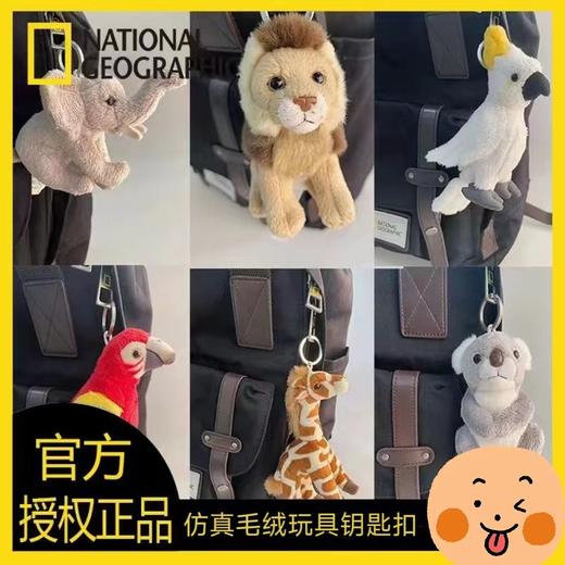 国家地理毛绒玩具挂件可爱钥匙扣老虎鹦鹉企鹅海豹浣熊花栗鼠熊猫 商品图0