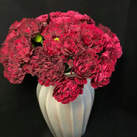 单头康乃馨 皇冠  红色  20支/扎   颜色深浅略有差异 以实物为准 云南基地发货 （价格已包含包装费用） 运费以实际为准，多退少补。