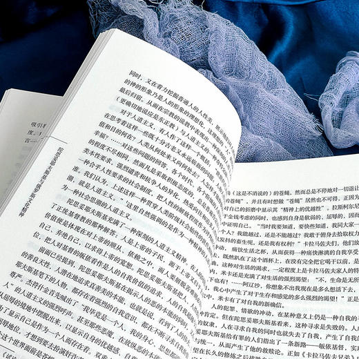 陀思妥耶夫斯基与俄罗斯文化精神 中外语言文学学术文库 何云波 文学研究 商品图9