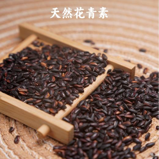生态紫糯米   500g /自然农法种植 商品图3
