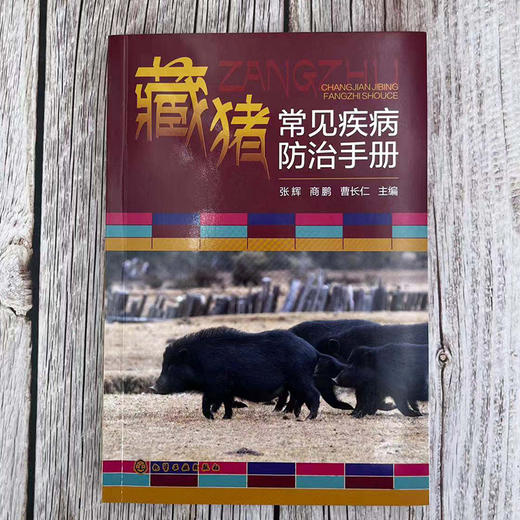 藏猪常见疾病防治手册 商品图1