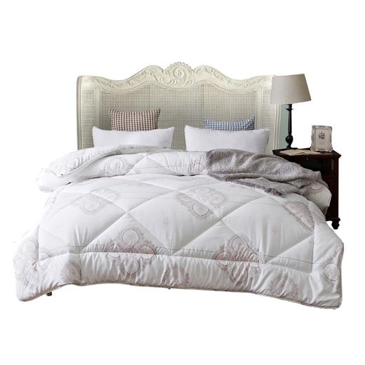 恒源祥（HYX） 恒源祥礼业TGB2037塞班绒亲舒被（纤维被） 200*230cm 商品图1