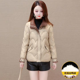 宽松短款波浪纹时尚保暖羽绒服，长袖拼色时髦鸭绒外套QYM-XQD-39D862-L