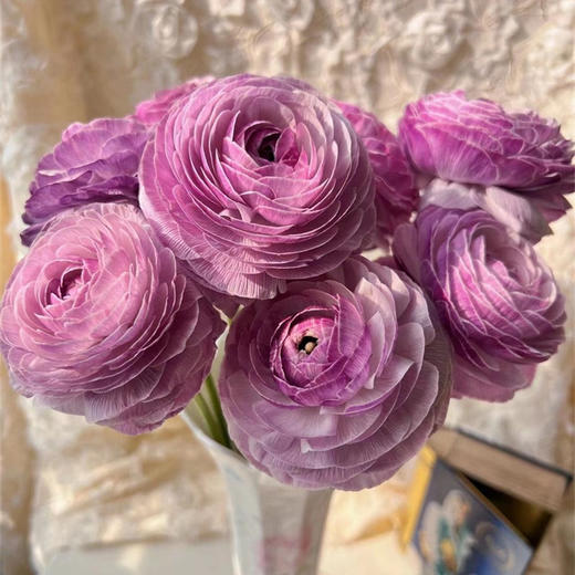 洋葱紫洋牡丹5支 商品图6