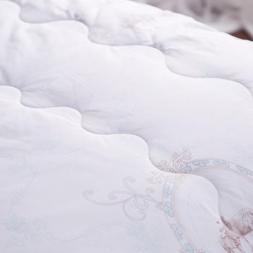 恒源祥礼业TGB1007黛芙妮纯新羊毛被 黛夫妮纯新羊毛被 200*230 商品图3