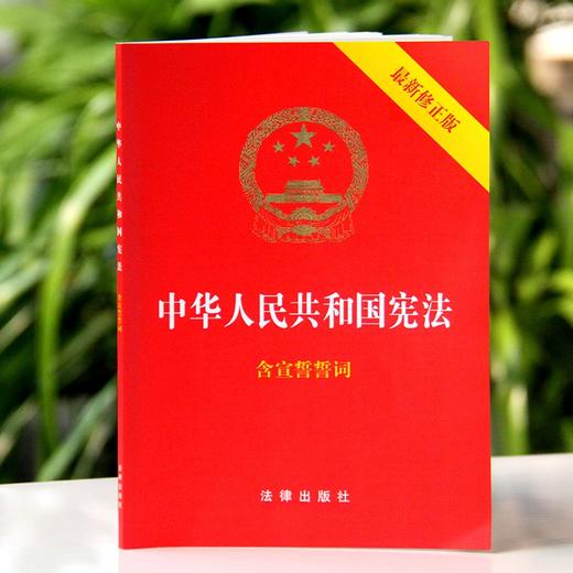 2本套装 走进宪法+中华人民共和国宪法：含宣誓誓词（最新修正版） 法律出版社 商品图3