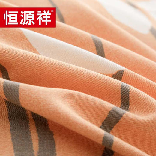 恒源祥礼业TBK2020叶影磨毛四件套全棉纯棉家用套件 1.5m（被套：200*230cm） 商品图4