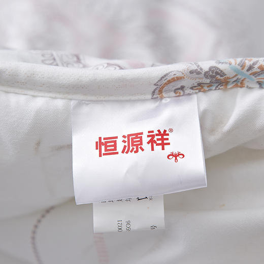 恒源祥（HYX） 恒源祥礼业TGB2037塞班绒亲舒被（纤维被） 200*230cm 商品图3