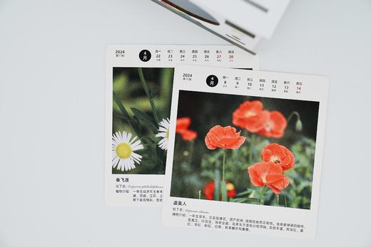 2024年辰山植物园精美花卉周历 / 限定植物香薰 商品图1