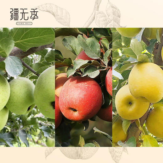 【活动】云相思新疆三色苹果  冰糖心苹果+王林苹果+瑞雪苹果 商品图6
