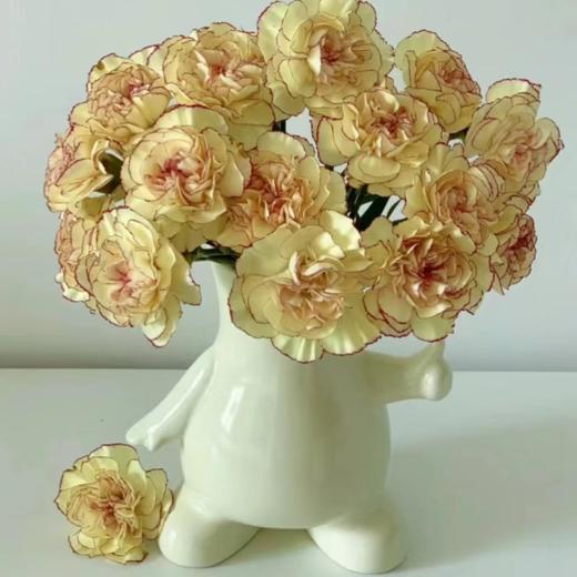 单头康乃馨 眼线 黄色  20支/扎   颜色深浅略有差异 以实物为准 云南基地发货 （价格已包含包装费用） 运费以实际为准，多退少补。 商品图0