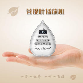 A5菩提叶播放器 一心