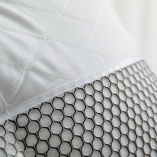 恒源祥（HYX） 恒源祥礼业TZT1002单只枕芯单人枕头 决明子枕头 48*74cm 商品图3