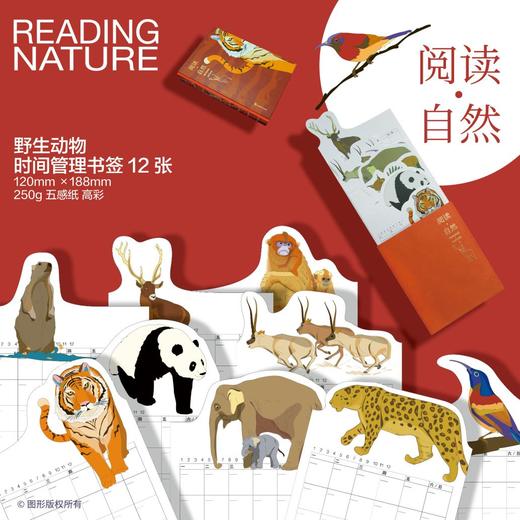 时间管理书签 商品图0